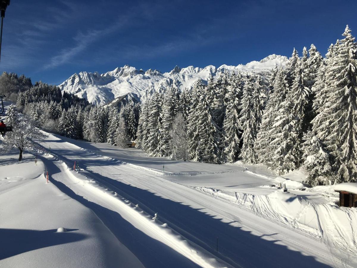 Chalet Confidentiel Valmorel - Chalet De Haut De Gamme 4 Etoiles 12 Personnes Doucy Exteriör bild