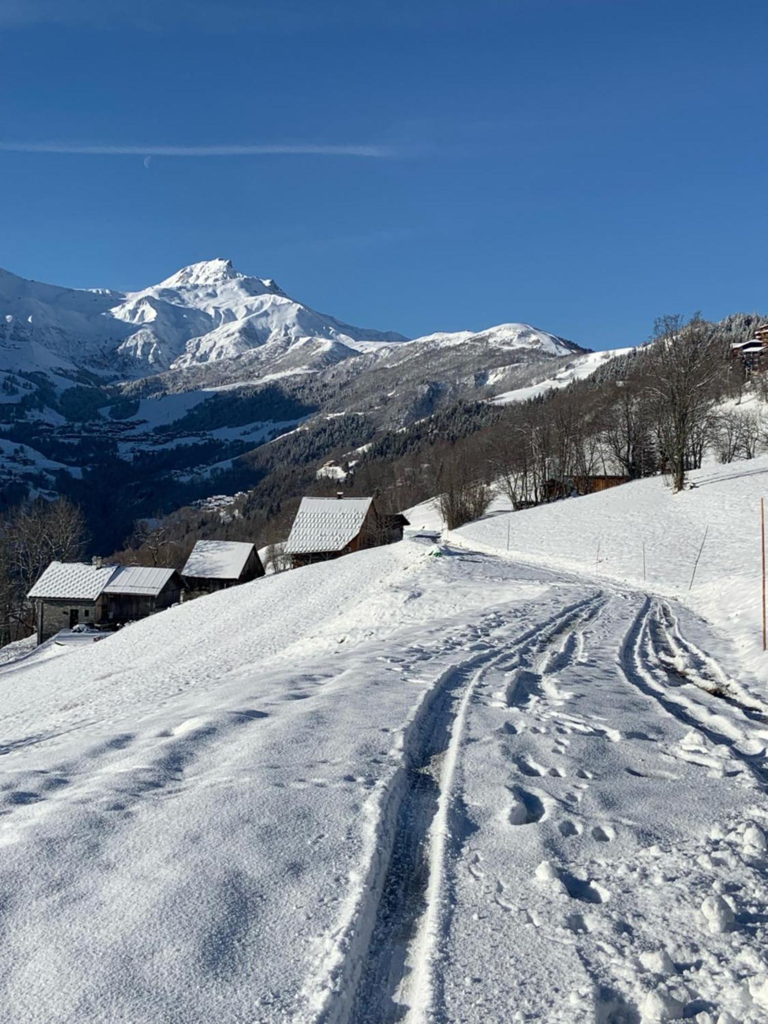 Chalet Confidentiel Valmorel - Chalet De Haut De Gamme 4 Etoiles 12 Personnes Doucy Exteriör bild
